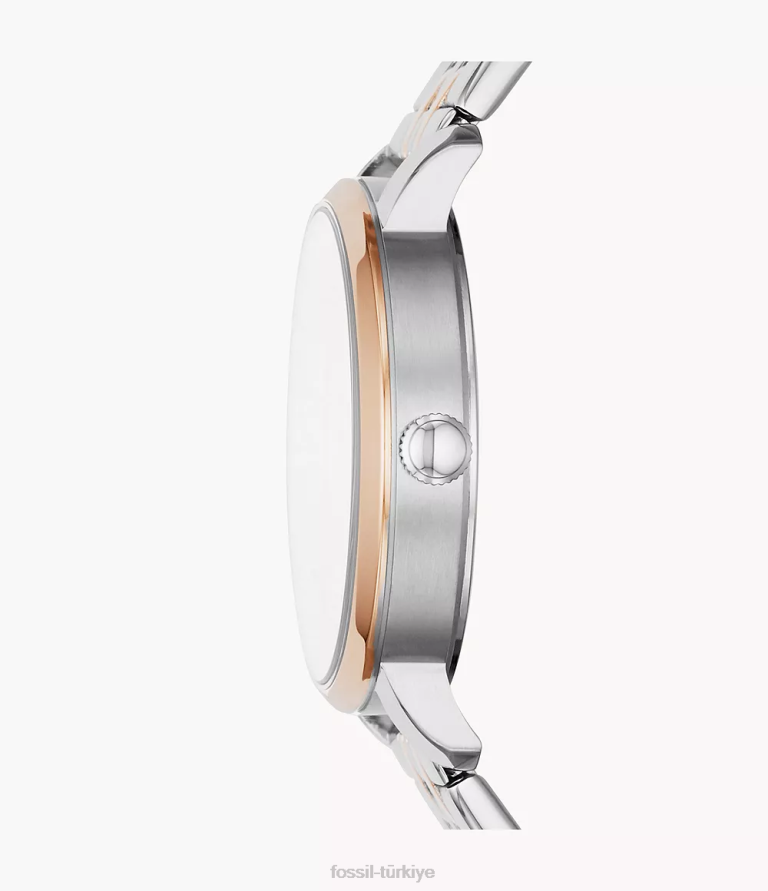Fossil 6J04197 iki ton lexie luther üç ibreli paslanmaz çelik saat kol saati kadınlar