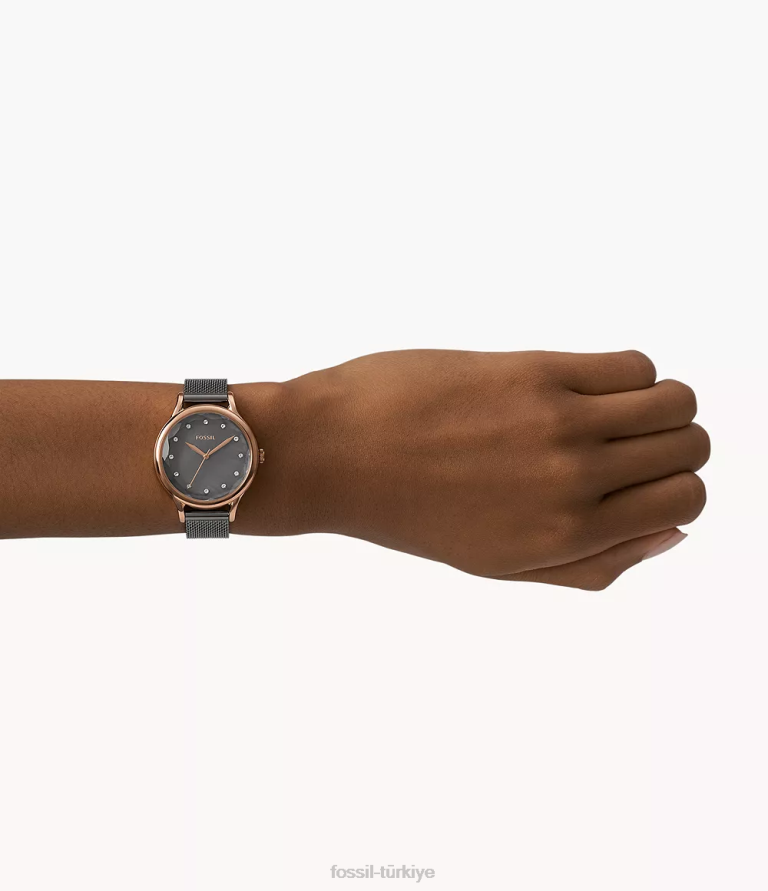 Fossil 6J04202 tunç Laney üç ibreli dumanlı paslanmaz çelik saat kol saati kadınlar