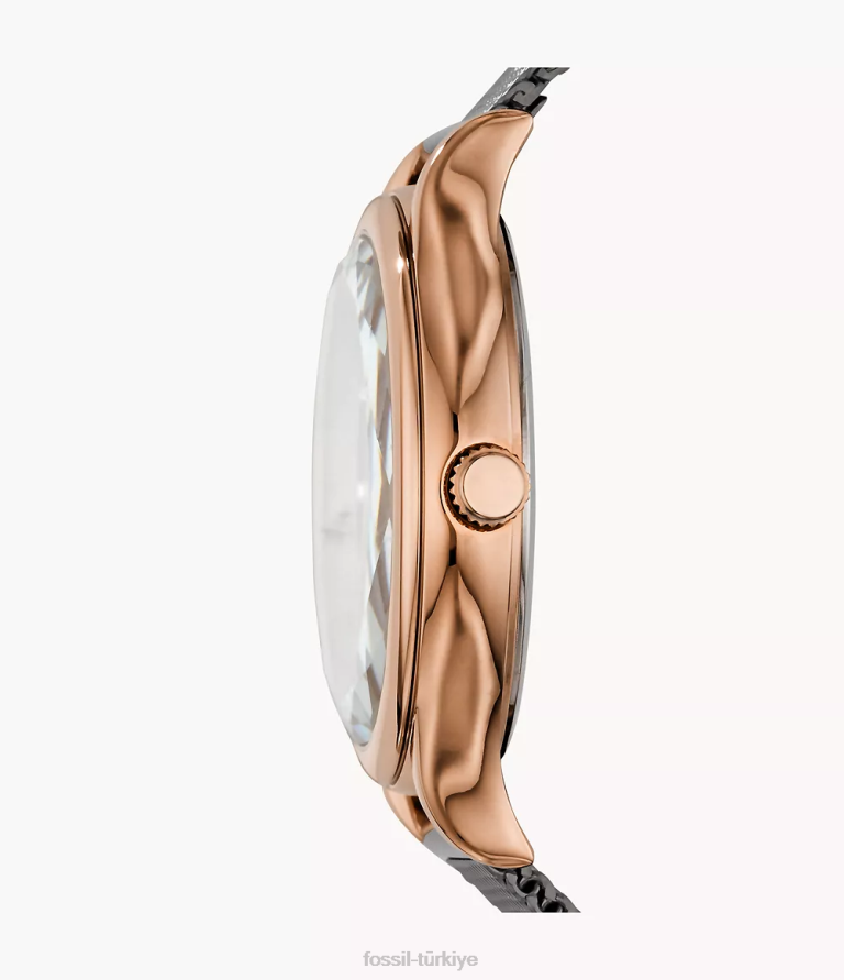 Fossil 6J04202 tunç Laney üç ibreli dumanlı paslanmaz çelik saat kol saati kadınlar