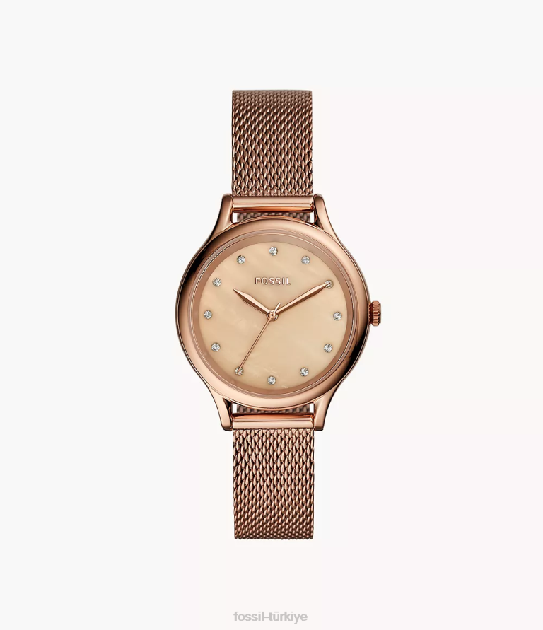 Fossil 6J04203 gül altın tonu Laney üç ibreli paslanmaz çelik saat kol saati kadınlar