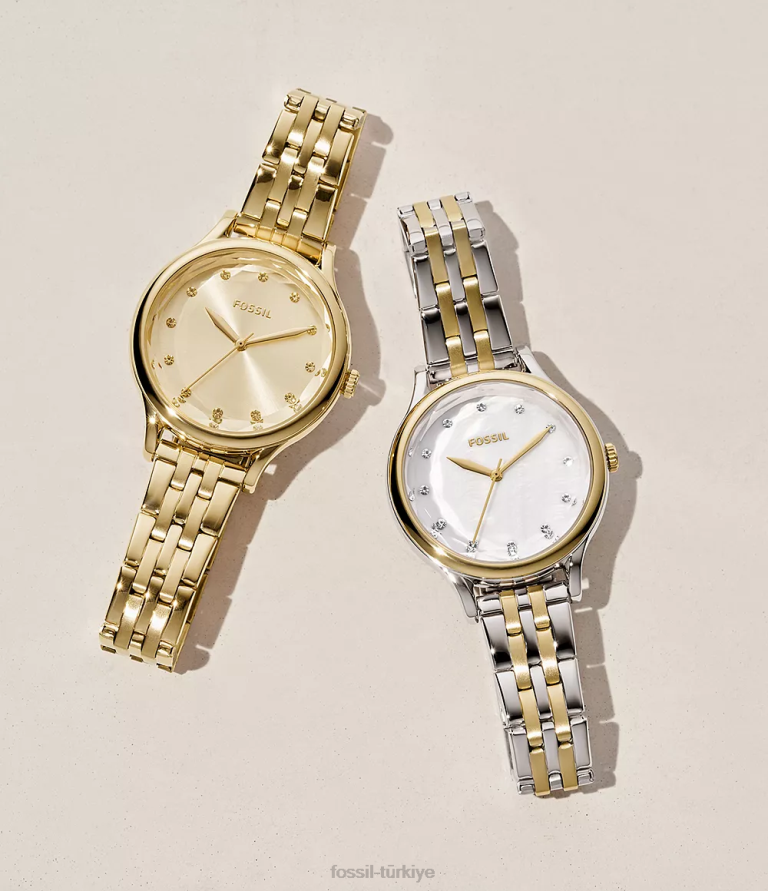 Fossil 6J04216 iki ton Laney üç ibreli paslanmaz çelik saat kol saati kadınlar