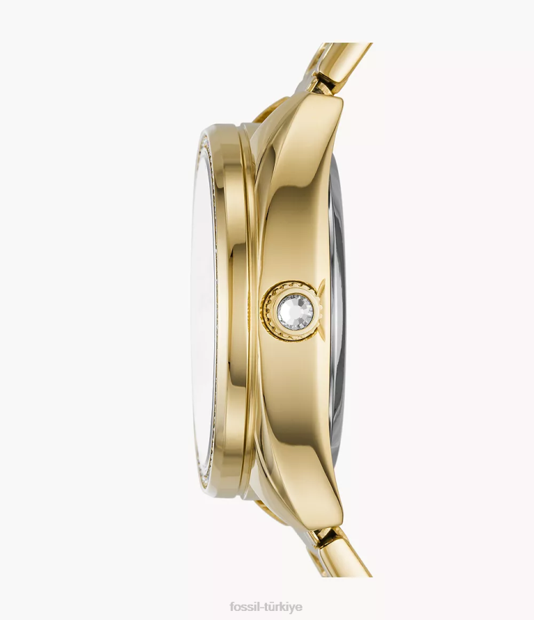 Fossil 6J04239 altın tonu vale otomatik paslanmaz çelik saat kol saati kadınlar