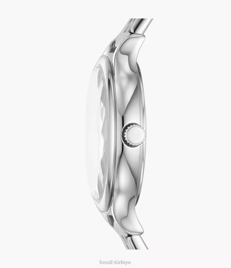 Fossil 6J04247 gümüş ton Laney üç ibreli paslanmaz çelik saat kol saati kadınlar