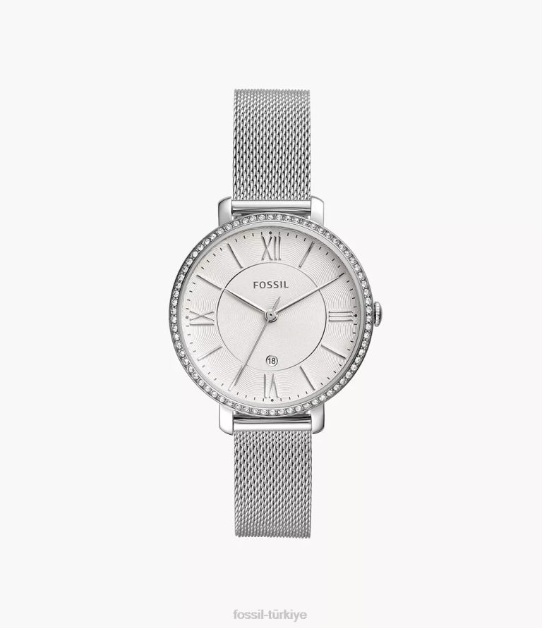 Fossil 6J0425 gümüş ton Jacqueline üç ibreli paslanmaz çelik saat kol saati kadınlar