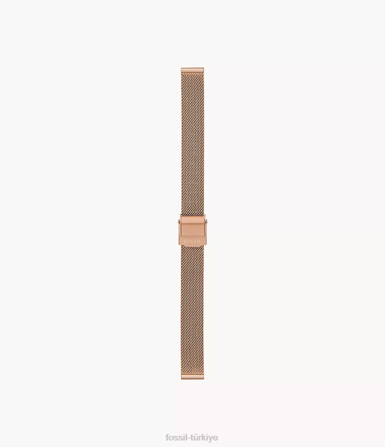 Fossil 6J04127 gül altın tonu 12mm paslanmaz çelik hasır bilezik aksesuar kadınlar