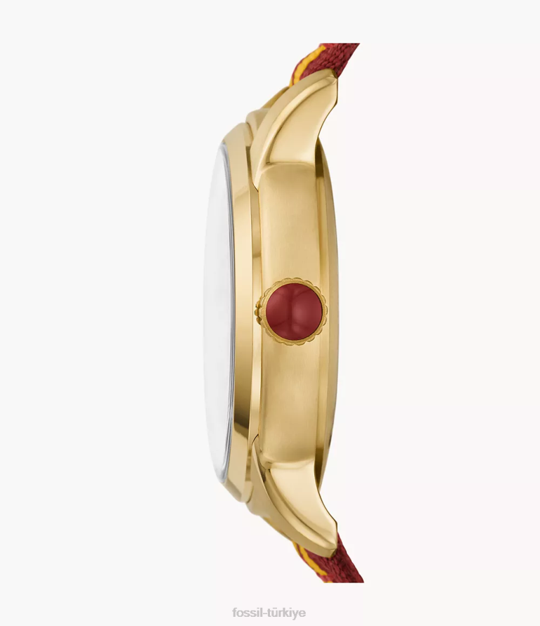 Fossil 6J04176 kırmızı Sarı sınırlı sayıda üretilen harry potter üç ibreli gryffindor naylon saat aksesuar kadınlar