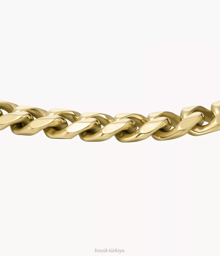 Fossil 6J041930 altın tonu paslanmaz çelik zincir bilezik takı erkekler