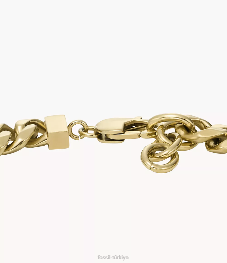 Fossil 6J041930 altın tonu paslanmaz çelik zincir bilezik takı erkekler