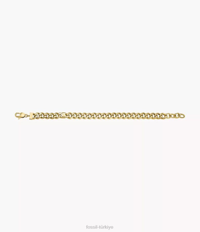 Fossil 6J041930 altın tonu paslanmaz çelik zincir bilezik takı erkekler