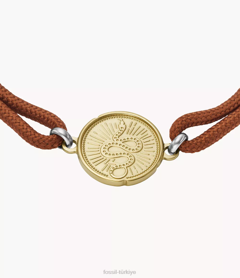 Fossil 6J041938 iki tonlu antika altın ve gümüş sawyer iki tonlu paslanmaz çelik yılan bileklik takı erkekler