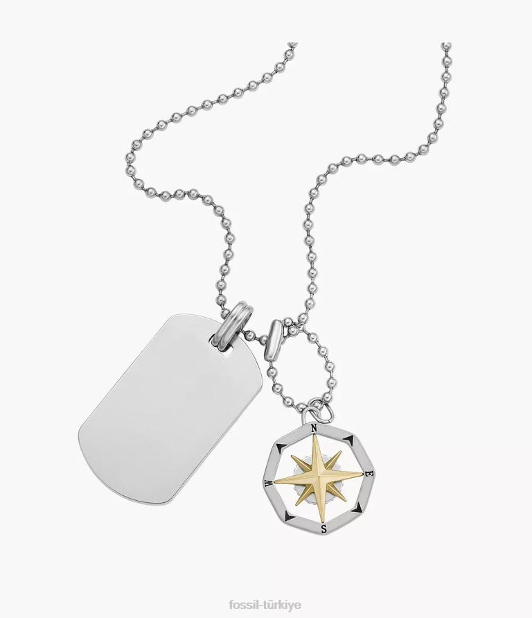 Fossil 6J041902 gümüş ton sutton pusula paslanmaz çelik köpek etiketi kolye takı erkekler