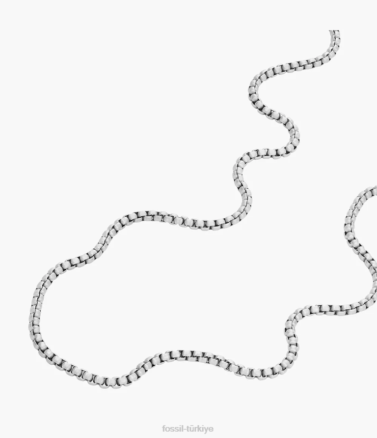 Fossil 6J041906 gümüş ton tamamı yığılmış paslanmaz çelik zincir kolye takı erkekler