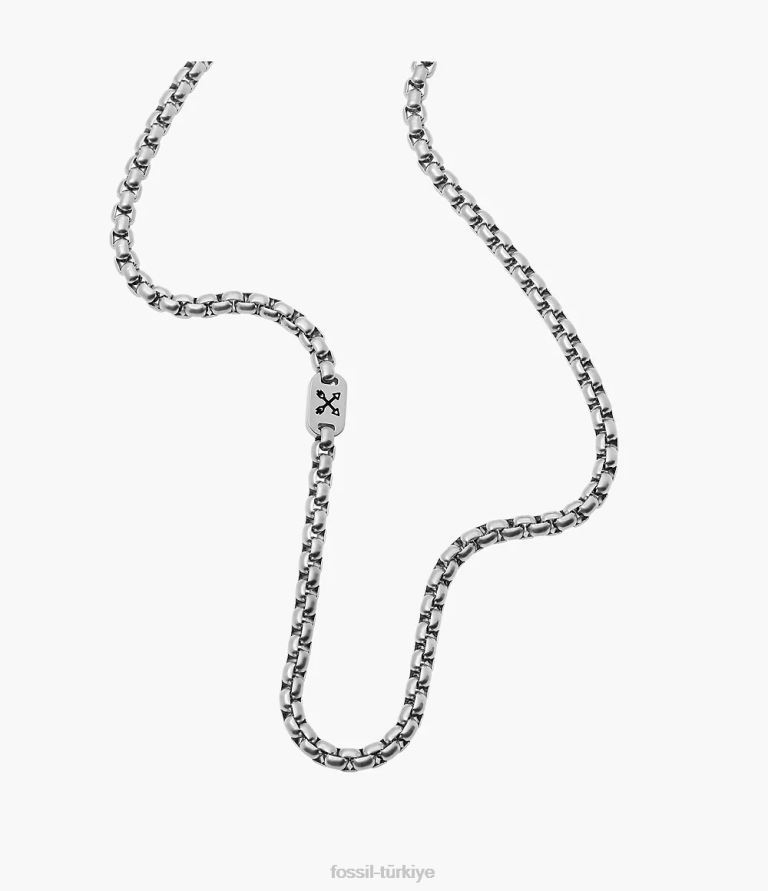 Fossil 6J041908 gümüş ton maceracı paslanmaz çelik zincir kolye takı erkekler