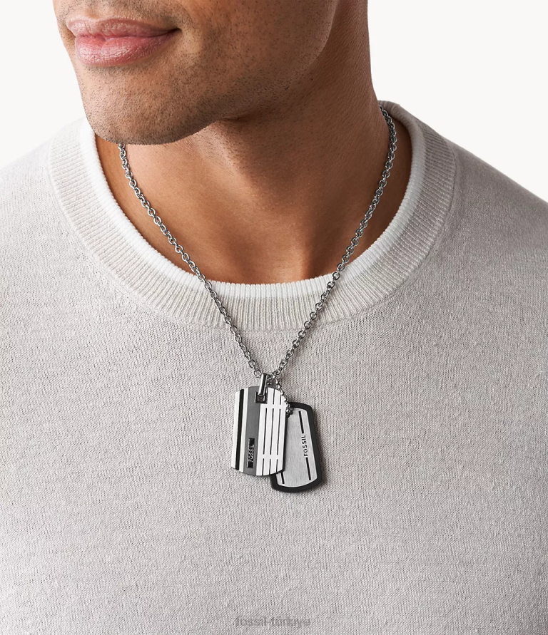 Fossil 6J041909 gümüş köpek etiketi paslanmaz çelik kolye takı erkekler