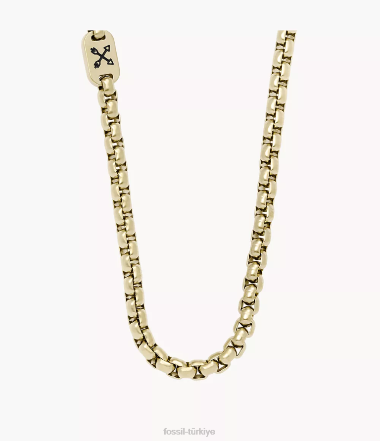 Fossil 6J041911 altın tonu maceracı paslanmaz çelik zincir kolye takı erkekler