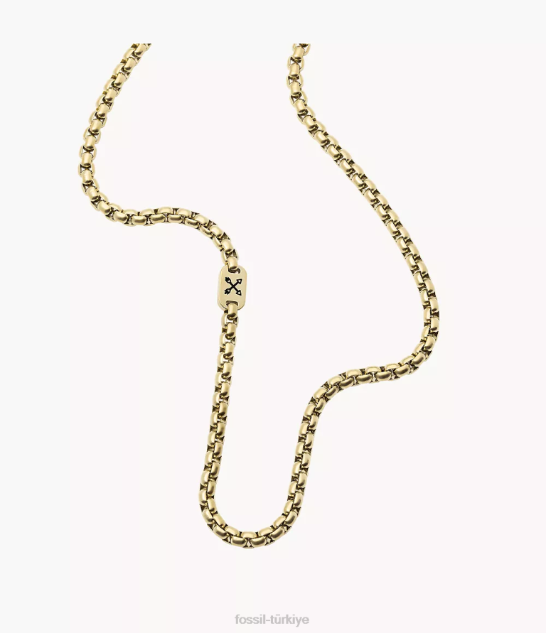 Fossil 6J041911 altın tonu maceracı paslanmaz çelik zincir kolye takı erkekler