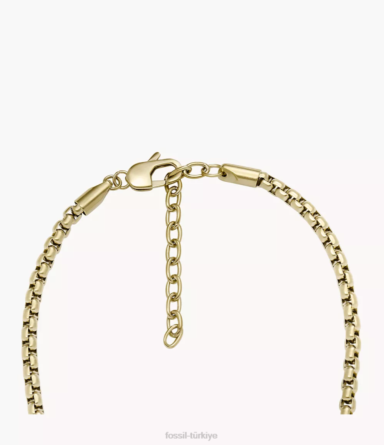 Fossil 6J041911 altın tonu maceracı paslanmaz çelik zincir kolye takı erkekler