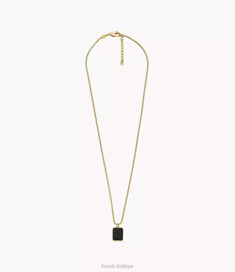 Fossil 6J041912 siyah ve altın rengi oniks zincir kolye takı erkekler