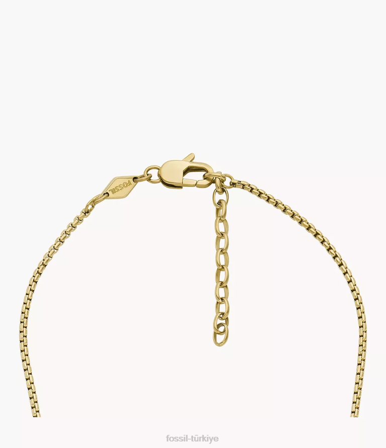 Fossil 6J041912 siyah ve altın rengi oniks zincir kolye takı erkekler