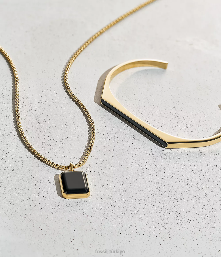 Fossil 6J041912 siyah ve altın rengi oniks zincir kolye takı erkekler