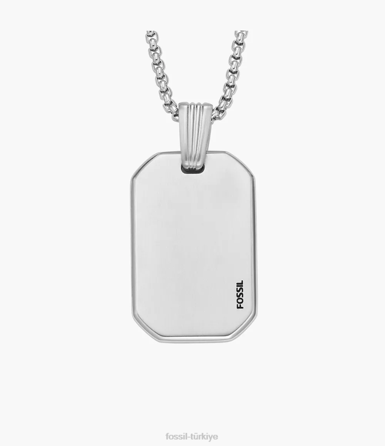 Fossil 6J041914 gümüş ton paslanmaz çelik zincir kolye çekti takı erkekler