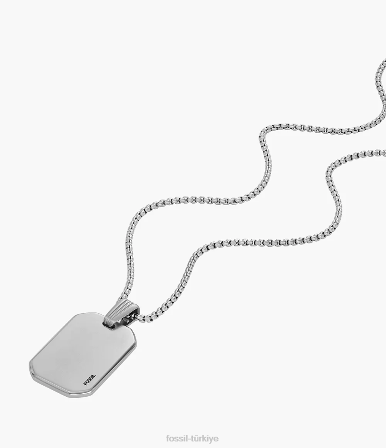 Fossil 6J041914 gümüş ton paslanmaz çelik zincir kolye çekti takı erkekler