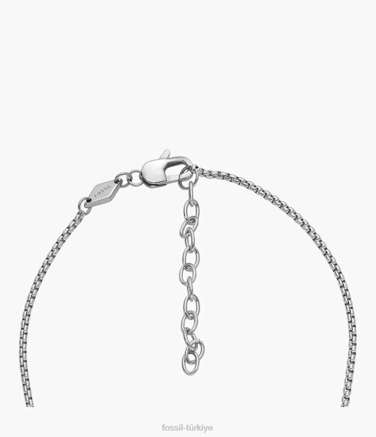 Fossil 6J041914 gümüş ton paslanmaz çelik zincir kolye çekti takı erkekler