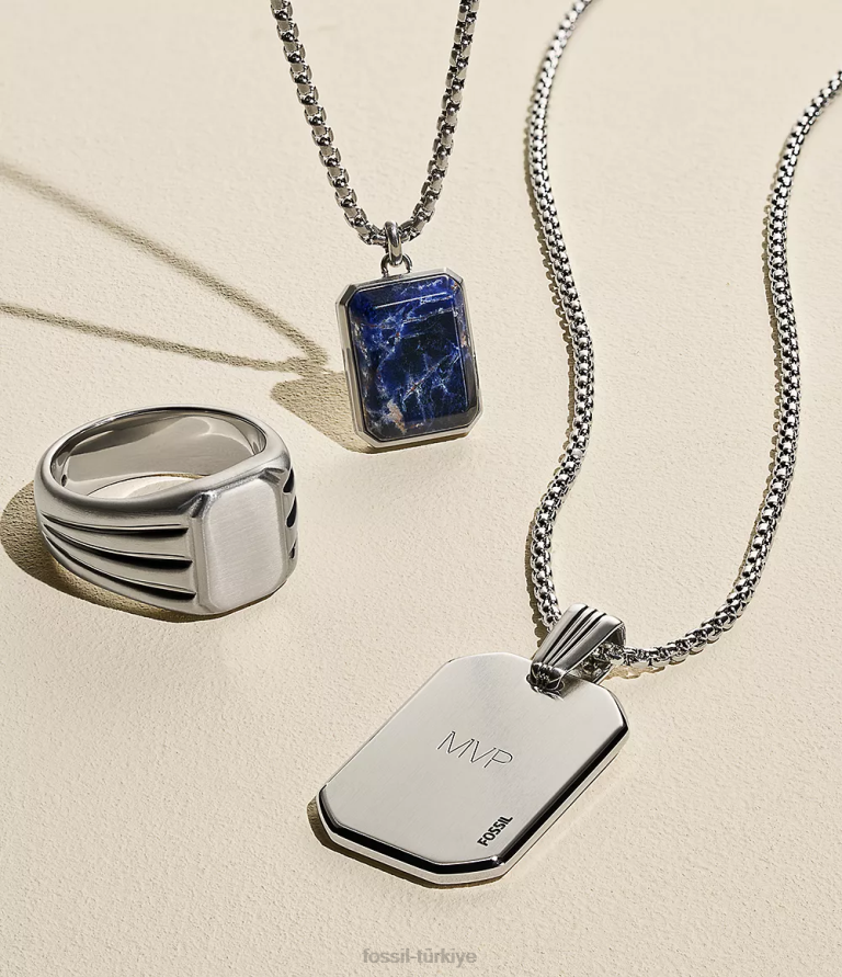 Fossil 6J041914 gümüş ton paslanmaz çelik zincir kolye çekti takı erkekler