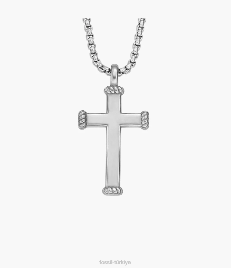 Fossil 6J041920 gümüş ton anlamlı anlar paslanmaz çelik kolye kolye takı erkekler