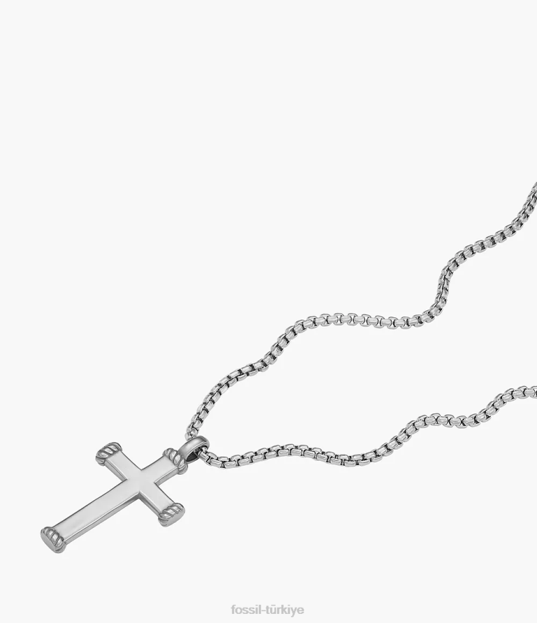 Fossil 6J041920 gümüş ton anlamlı anlar paslanmaz çelik kolye kolye takı erkekler