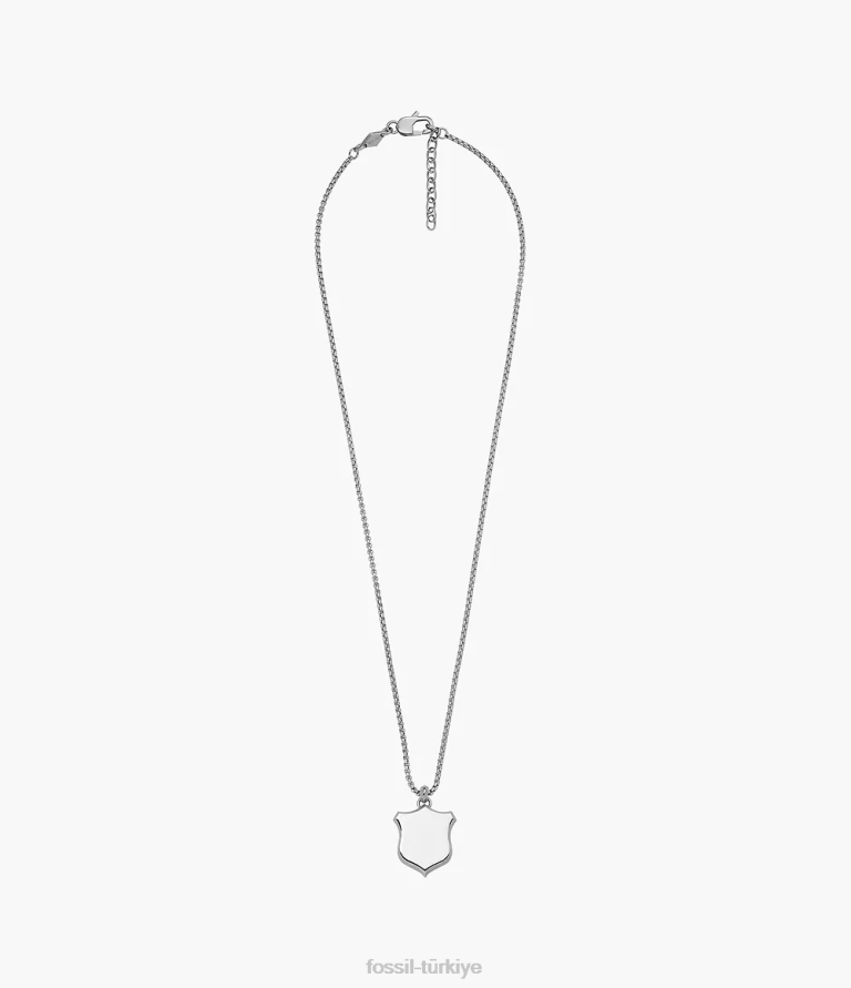 Fossil 6J041922 gümüş ton miras kalkanı paslanmaz çelik kolye kolye takı erkekler