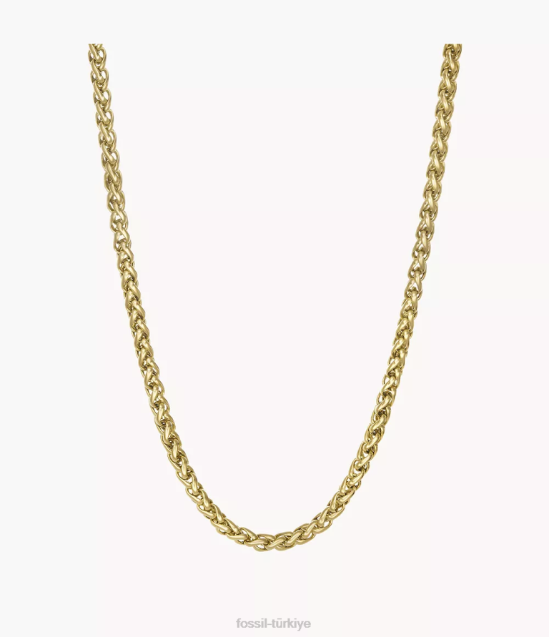 Fossil 6J041923 altın tonu paslanmaz çelik zincir kolye takı erkekler