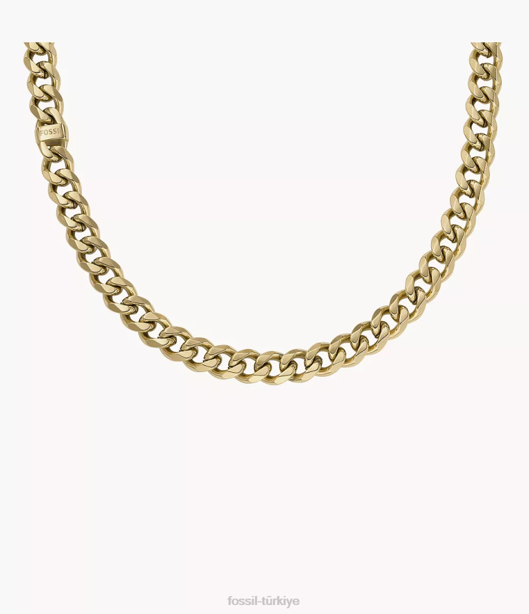 Fossil 6J041927 altın tonu paslanmaz çelik zincir kolye takı erkekler
