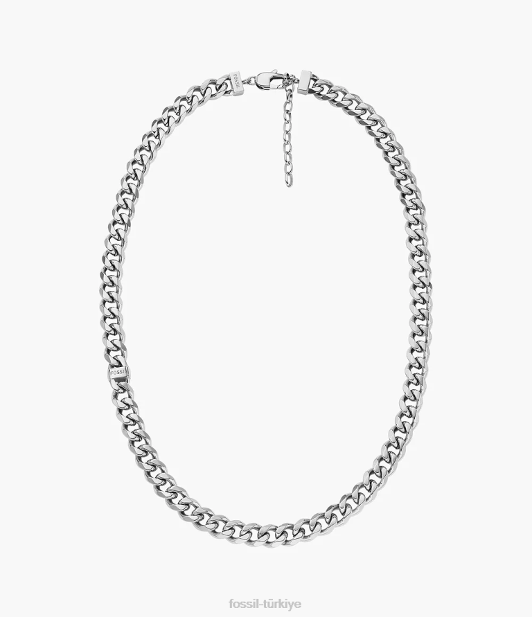 Fossil 6J041928 gümüş ton paslanmaz çelik zincir kolye takı erkekler