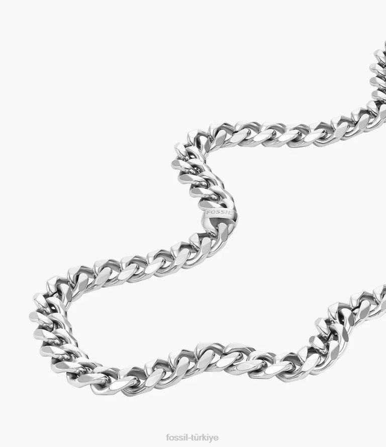 Fossil 6J041928 gümüş ton paslanmaz çelik zincir kolye takı erkekler
