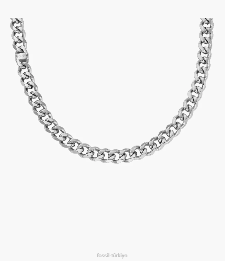 Fossil 6J041928 gümüş ton paslanmaz çelik zincir kolye takı erkekler