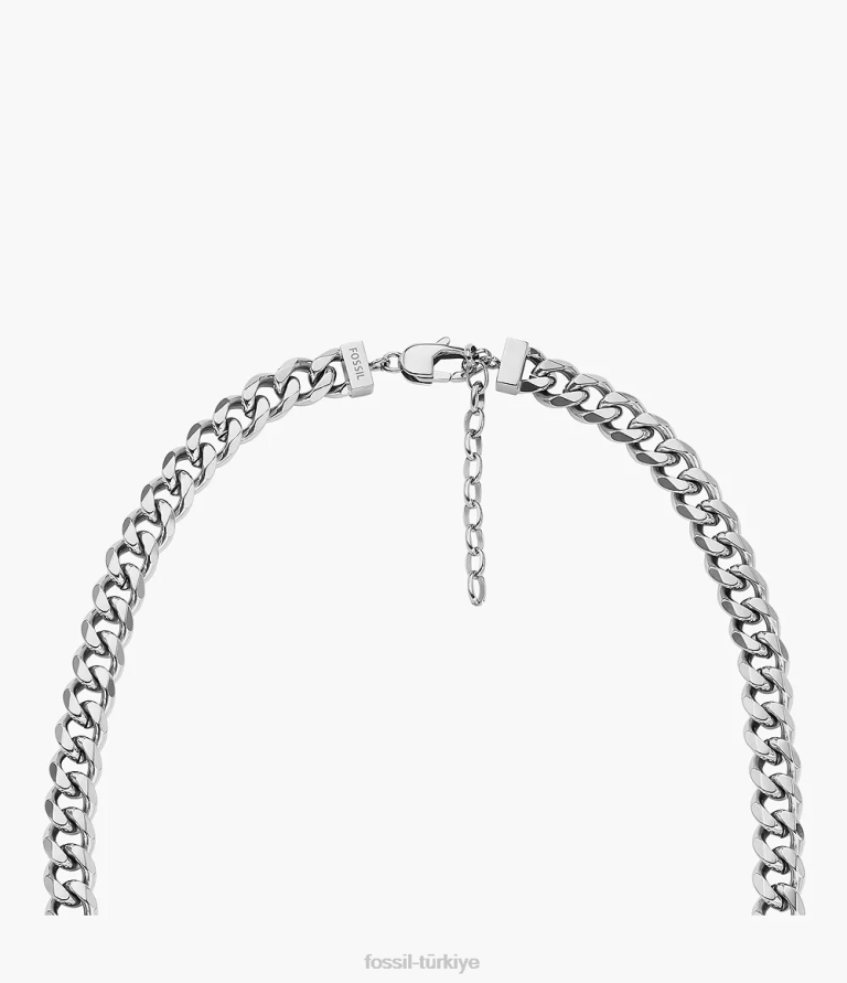 Fossil 6J041928 gümüş ton paslanmaz çelik zincir kolye takı erkekler