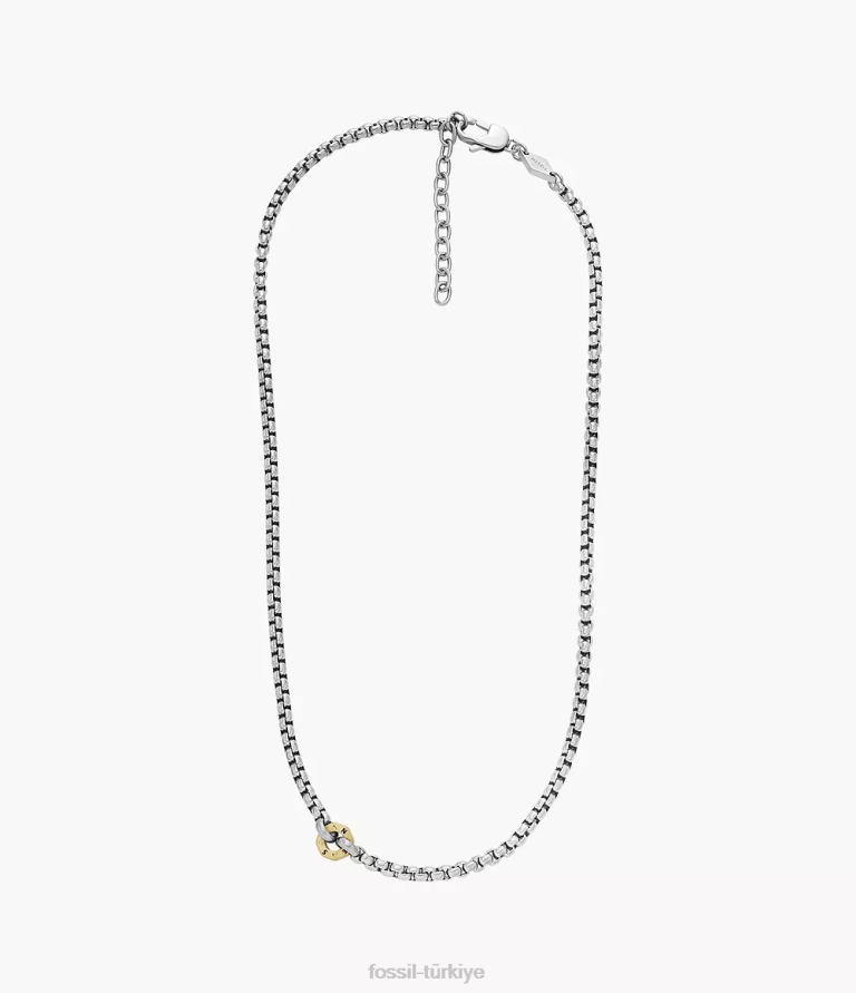 Fossil 6J041941 iki ton sawyer paslanmaz çelik zincir kolye takı erkekler