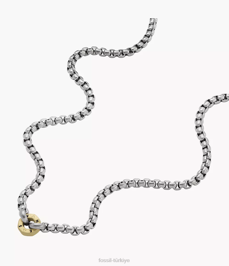 Fossil 6J041941 iki ton sawyer paslanmaz çelik zincir kolye takı erkekler