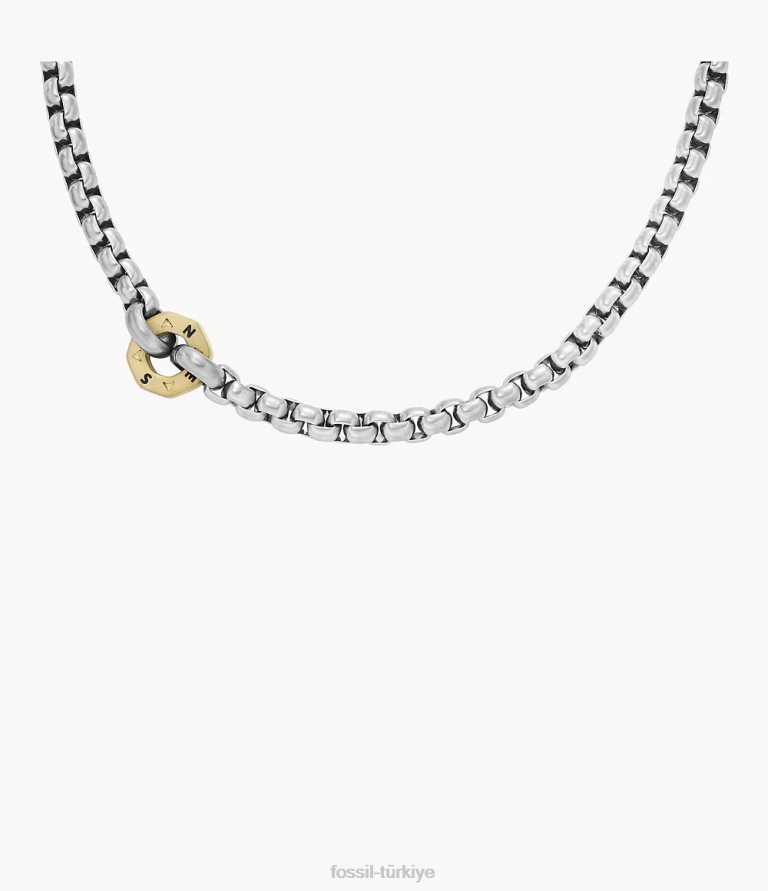 Fossil 6J041941 iki ton sawyer paslanmaz çelik zincir kolye takı erkekler