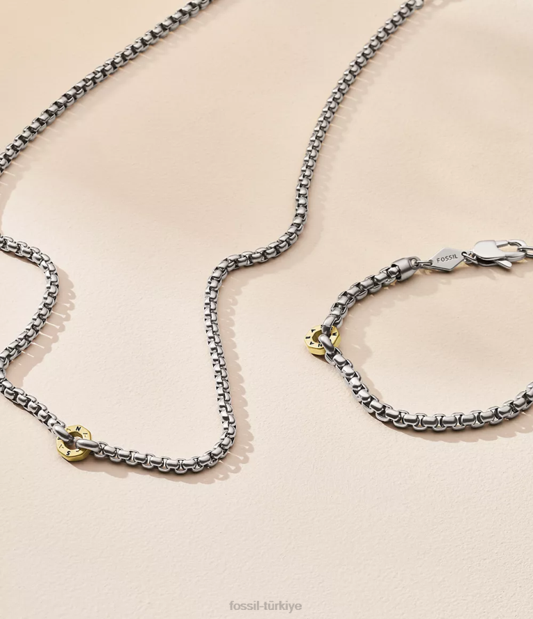 Fossil 6J041941 iki ton sawyer paslanmaz çelik zincir kolye takı erkekler