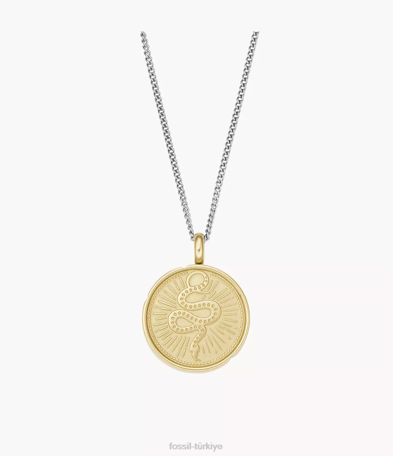 Fossil 6J041950 iki tonlu antika altın ve gümüş sawyer iki tonlu paslanmaz çelik yılan kolye kolye takı erkekler