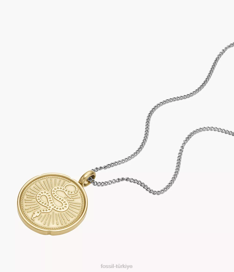 Fossil 6J041950 iki tonlu antika altın ve gümüş sawyer iki tonlu paslanmaz çelik yılan kolye kolye takı erkekler