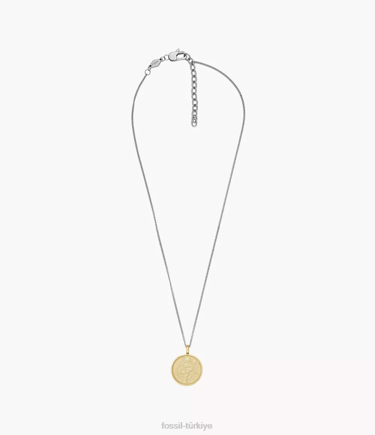 Fossil 6J041950 iki tonlu antika altın ve gümüş sawyer iki tonlu paslanmaz çelik yılan kolye kolye takı erkekler