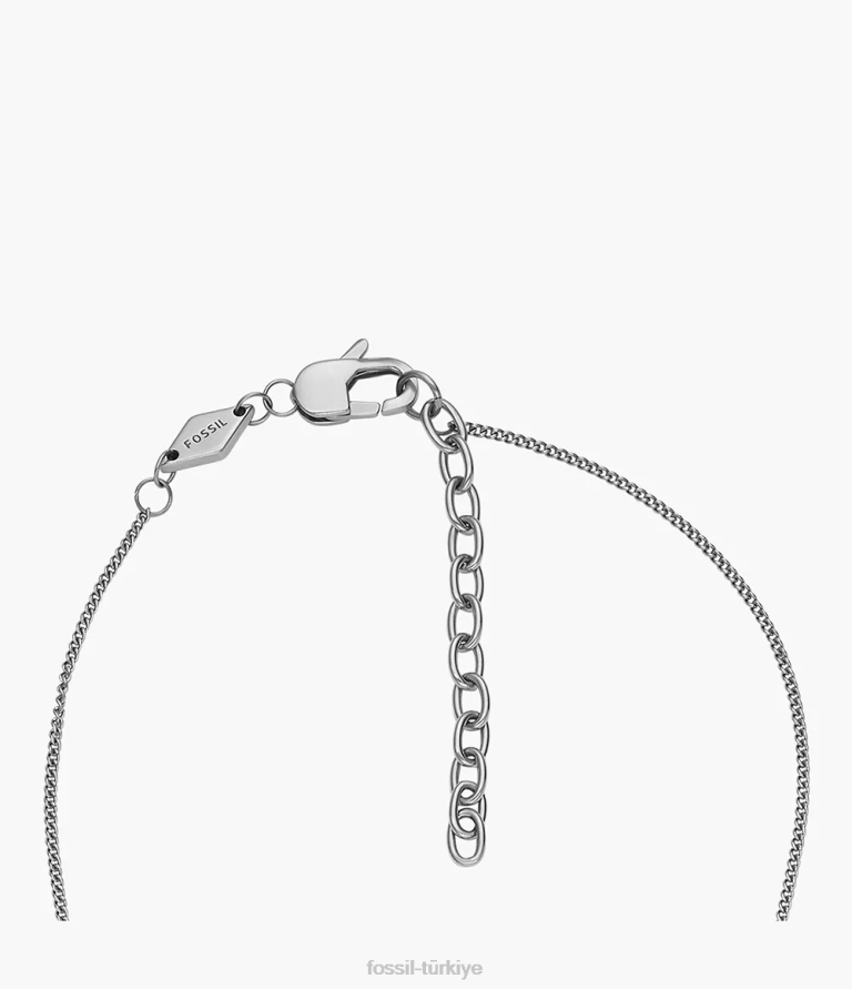 Fossil 6J041950 iki tonlu antika altın ve gümüş sawyer iki tonlu paslanmaz çelik yılan kolye kolye takı erkekler