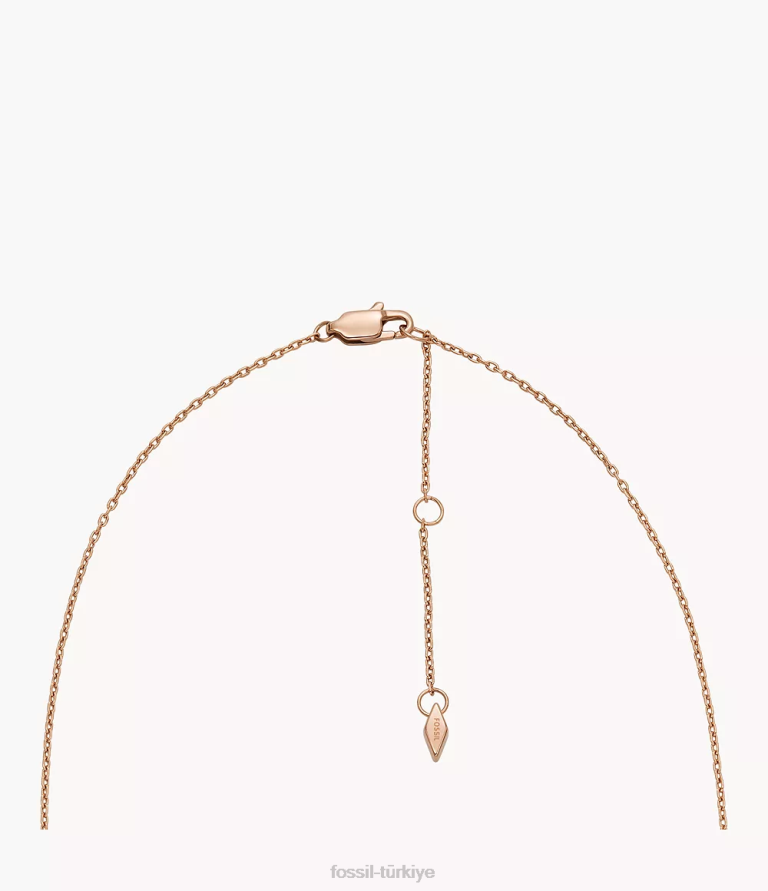 Fossil 6J041145 altın tonu gül rengi paslanmaz çelik kolye ve küpe seti takı kadınlar