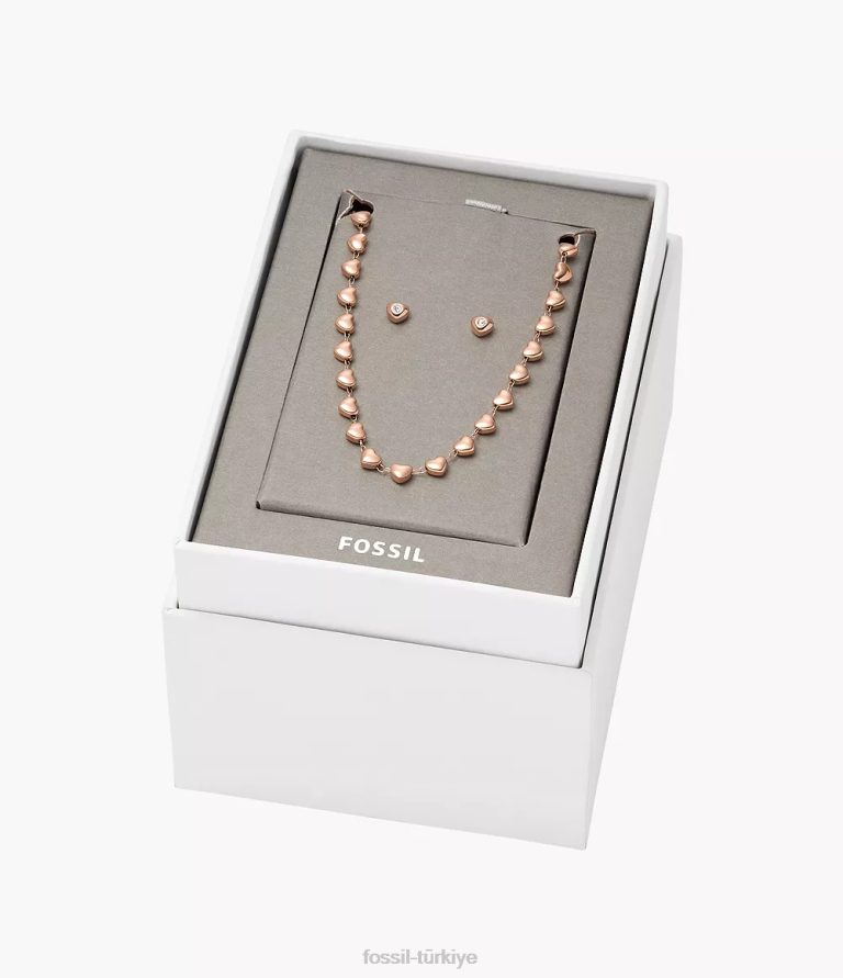 Fossil 6J041145 altın tonu gül rengi paslanmaz çelik kolye ve küpe seti takı kadınlar