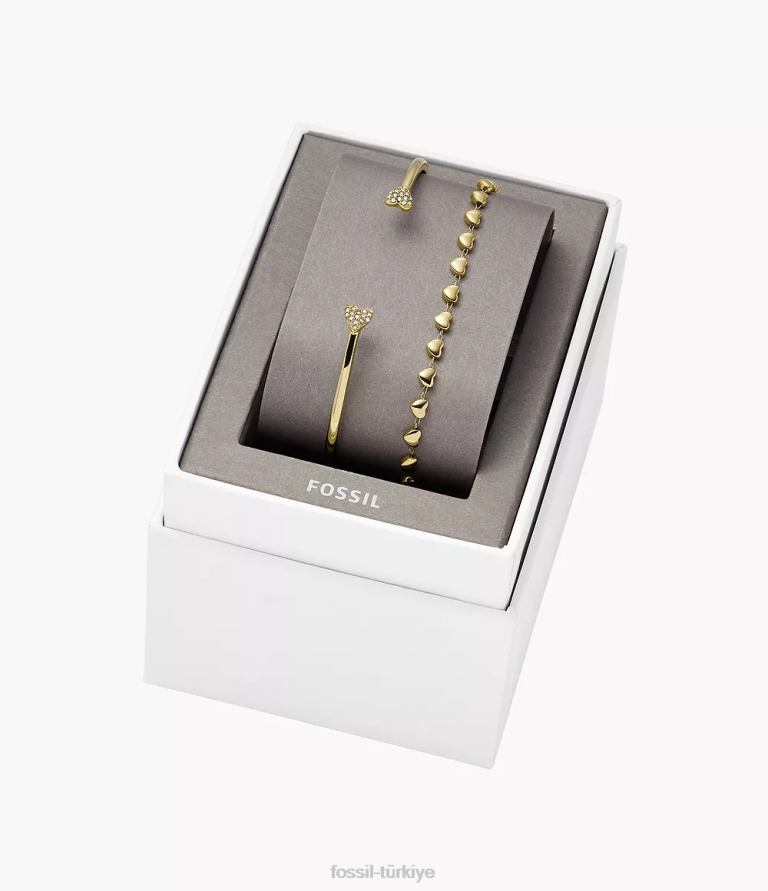 Fossil 6J041160 altın tonu paslanmaz çelik bilezik seti takı kadınlar