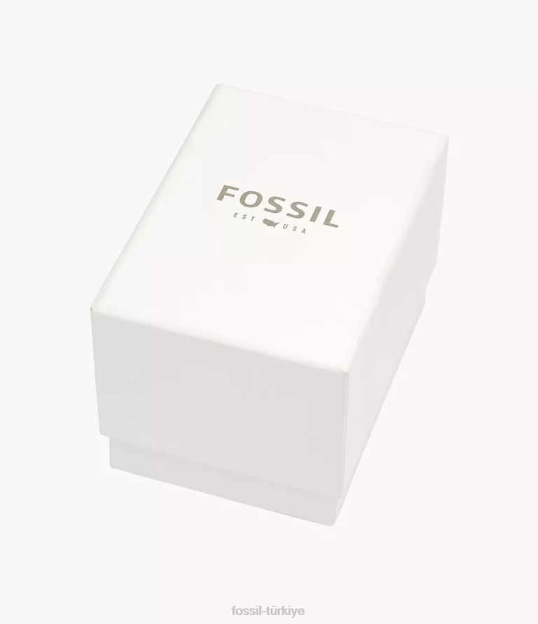 Fossil 6J041160 altın tonu paslanmaz çelik bilezik seti takı kadınlar