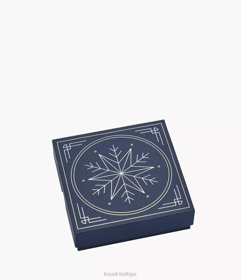 Fossil 6J041218 altın tonu göksel opal sentetik opal kolye ve küpe seti takı kadınlar